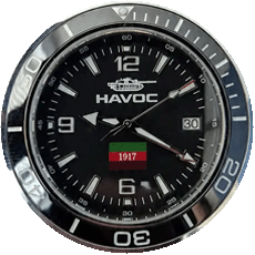 Face of a Havoc 1917